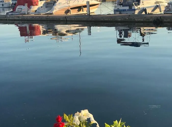 студия Sea Breeze * 圣弗拉斯